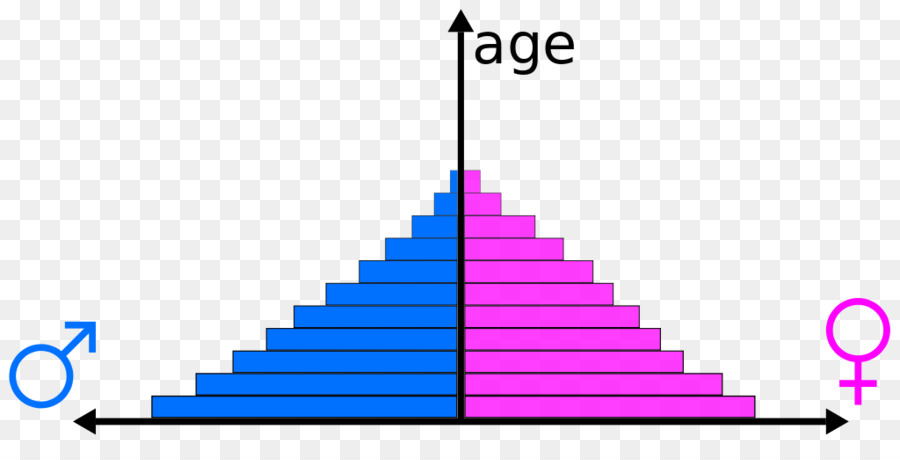 karakteristik piramida penduduk