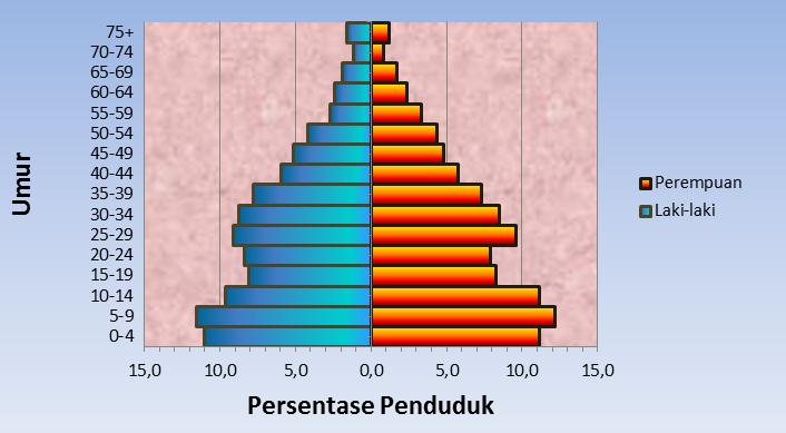 Karakteristik piramida penduduk